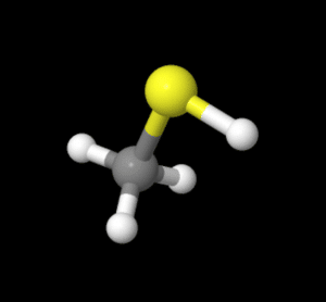 3D Molecule Model